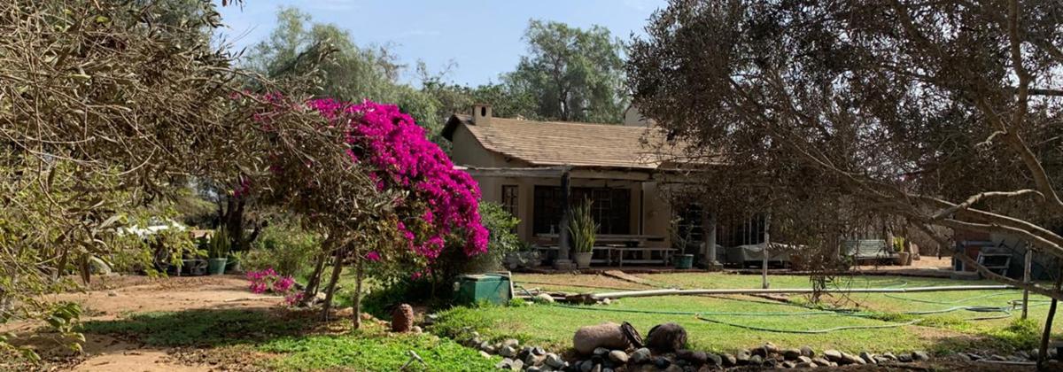 Vendo lindo fundo en Chilca